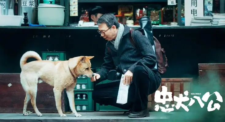 直播足球的平台app使用方法